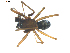 ( - BIOUG00617-B08)  @13 [ ] CC-0  G. Blagoev 2010 Unspecified