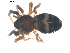  ( - BIOUG00617-D12)  @12 [ ] CC-0  G. Blagoev 2010 Unspecified