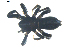  ( - BIOUG00617-E02)  @12 [ ] CC-0  G. Blagoev 2010 Unspecified