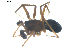  ( - BIOUG00617-G04)  @13 [ ] CC-0  G. Blagoev 2010 Unspecified