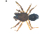  ( - BIOUG00617-G06)  @13 [ ] CC-0  G. Blagoev 2010 Unspecified