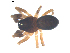  ( - BIOUG00617-G12)  @13 [ ] CC-0  G. Blagoev 2010 Unspecified
