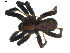  ( - BIOUG00618-E02)  @13 [ ] CC-0  G. Blagoev 2010 Unspecified