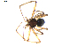  ( - BIOUG00618-E11)  @13 [ ] CC-0  G. Blagoev 2010 Unspecified