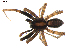  ( - BIOUG00618-G04)  @13 [ ] CC-0  G. Blagoev 2010 Unspecified