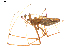  ( - BIOUG00618-H08)  @13 [ ] CC-0  G. Blagoev 2010 Unspecified