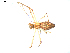  ( - BIOUG00618-H10)  @13 [ ] CC-0  G. Blagoev 2010 Unspecified