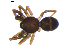  ( - BIOUG00619-A04)  @12 [ ] CC-0  G. Blagoev 2010 Unspecified
