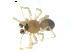  ( - BIOUG00619-A09)  @12 [ ] CC-0  G. Blagoev 2010 Unspecified