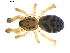  ( - BIOUG00619-B06)  @12 [ ] CC-0  G. Blagoev 2010 Unspecified