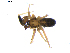  ( - BIOUG00619-D01)  @12 [ ] CC-0  G. Blagoev 2010 Unspecified