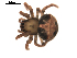  ( - BIOUG00619-H10)  @12 [ ] CC-0  G. Blagoev 2010 Unspecified