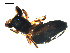  ( - BIOUG00621-A04)  @12 [ ] CC-0  G. Blagoev 2010 Unspecified