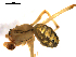  ( - BIOUG00621-E08)  @12 [ ] CC-0  G. Blagoev 2010 Unspecified