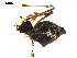  ( - BIOUG00621-E10)  @12 [ ] CC-0  G. Blagoev 2010 Unspecified