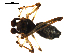  ( - BIOUG00621-F01)  @12 [ ] CC-0  G. Blagoev 2010 Unspecified