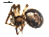  ( - BIOUG00621-F05)  @12 [ ] CC-0  G. Blagoev 2010 Unspecified