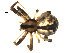  ( - BIOUG00621-F07)  @12 [ ] CC-0  G. Blagoev 2010 Unspecified
