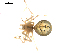  ( - BIOUG00621-F12)  @13 [ ] CC-0  G. Blagoev 2010 Unspecified