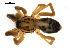  ( - BIOUG00621-G11)  @12 [ ] CC-0  G. Blagoev 2010 Unspecified