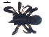  ( - BIOUG00621-H02)  @12 [ ] CC-0  G. Blagoev 2010 Unspecified