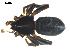  ( - BIOUG00621-H08)  @12 [ ] CC-0  G. Blagoev 2010 Unspecified