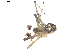  ( - BIOUG00623-F12)  @12 [ ] CC-0  G. Blagoev 2010 Unspecified