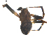  ( - BIOUG00623-G02)  @12 [ ] CC-0  G. Blagoev 2010 Unspecified