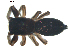  ( - BIOUG00623-G03)  @12 [ ] CC-0  G. Blagoev 2010 Unspecified
