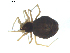  ( - BIOUG00623-G06)  @12 [ ] CC-0  G. Blagoev 2010 Unspecified
