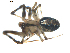  ( - BIOUG00623-G09)  @12 [ ] CC-0  G. Blagoev 2010 Unspecified