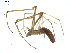  ( - BIOUG00624-D06)  @12 [ ] CC-0  G. Blagoev 2010 Unspecified