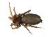  ( - BIOUG00624-E09)  @13 [ ] CC-0  G. Blagoev 2010 Unspecified