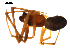 ( - BIOUG00625-A08)  @12 [ ] CC-0  G. Blagoev 2010 Unspecified