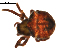  ( - BIOUG00625-B04)  @12 [ ] CC-0  G. Blagoev 2010 Unspecified