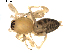  ( - BIOUG00625-D09)  @12 [ ] CC-0  G. Blagoev 2010 Unspecified