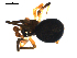  ( - BIOUG00625-D12)  @12 [ ] CC-0  G. Blagoev 2010 Unspecified