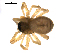  ( - BIOUG00625-E11)  @12 [ ] CC-0  G. Blagoev 2010 Unspecified