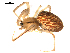  ( - BIOUG00625-F02)  @12 [ ] CC-0  G. Blagoev 2010 Unspecified