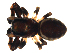  ( - BIOUG00625-G01)  @12 [ ] CC-0  G. Blagoev 2010 Unspecified