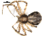 ( - BIOUG00625-G02)  @13 [ ] CC-0  G. Blagoev 2010 Unspecified