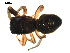  ( - BIOUG00625-G10)  @12 [ ] CC-0  G. Blagoev 2010 Unspecified