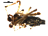  ( - BIOUG00625-H09)  @12 [ ] CC-0  G. Blagoev 2010 Unspecified