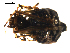  ( - BIOUG00625-H11)  @12 [ ] CC-0  G. Blagoev 2010 Unspecified