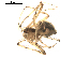  ( - BIOUG00626-B01)  @13 [ ] CC-0  G. Blagoev 2010 Unspecified
