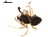  ( - BIOUG00626-B09)  @12 [ ] CC-0  G. Blagoev 2010 Unspecified