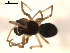  ( - BIOUG00626-B10)  @12 [ ] CC-0  G. Blagoev 2010 Unspecified