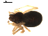  ( - BIOUG00626-B11)  @12 [ ] CC-0  G. Blagoev 2010 Unspecified