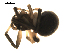  ( - BIOUG00626-C06)  @12 [ ] CC-0  G. Blagoev 2010 Unspecified