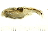  ( - BIOUG03283-B07)  @13 [ ] CreativeCommons - Attribution (2012) CBG Photography Group Centre for Biodiversity Genomics